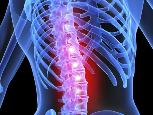 image of a spine highlighted with red lights